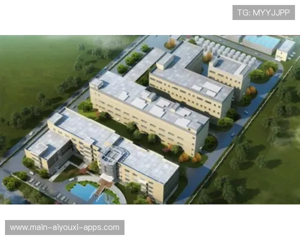 球员二次创业支持体系帮助退役后社会融合与成就