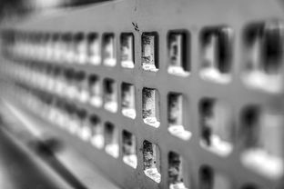 爱游戏官网充值-青少年运动损伤预防技术及实践研究，青少年运动损伤预防技术及实践研究论文